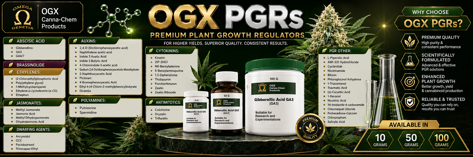 OGX Product 2